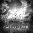 Awaken Hero